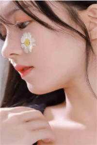 扶摇鹤南飞小说全文免费阅读