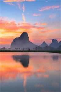 夏风掠过白夜全文无删减