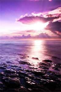 我捧烈士骨灰，重生嫁军区大佬了好看的小说推荐完结