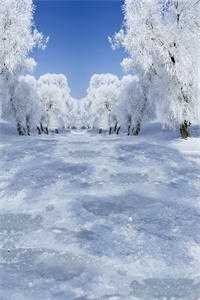 雾夜咬痕黎楹程京煦全文+免费