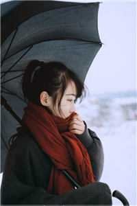 也曾红豆寄相思最新