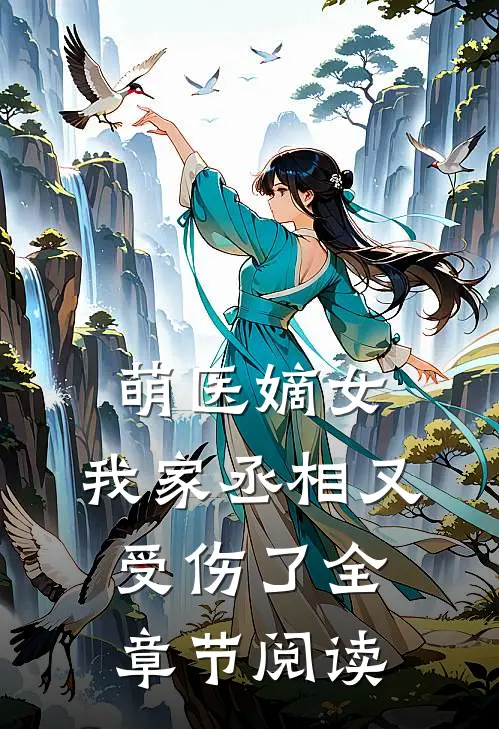 萌医嫡女我家丞相又受伤了全章节阅读
