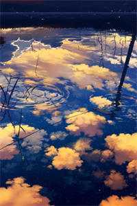 花开在夜深人静时广告+结局