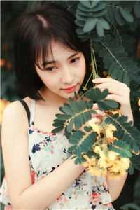 我伴星辰引渡朝夕全本