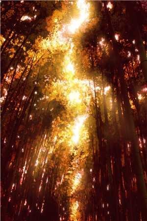 故意调换花轿后，将军红了眼完结