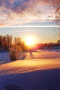 阿姨大了十八岁全新