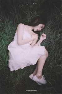 北城旧梦扰清风最新热门小说