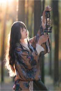 北风起时问归期抖音