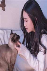 一见钟情：大佬实力诱哄时翊慕念念全文免费