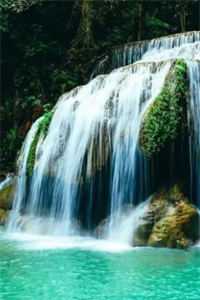 别跑啊！你不是想和我组CP吗优质全文阅读