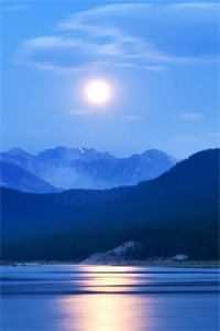 地久婚长全本小说推荐