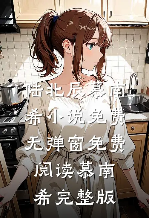 陆北辰慕南希小说免费无弹窗免费阅读慕南希完整版